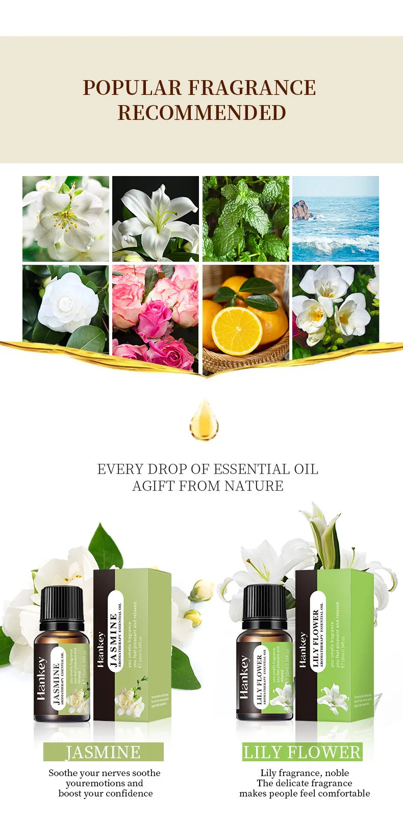 Indoor Aromatherapy Essential Oil for Refreshing and Long-lasting Air Freshening