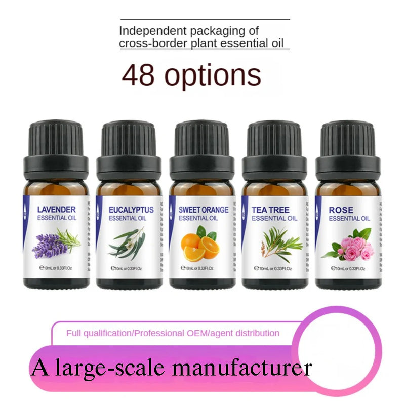 Aromatherapy Essential Oil Set Lavender Rose Plant