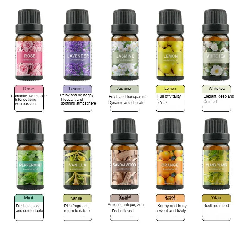 Aromatherapy Essential Oil Set Lavender Rose Plant